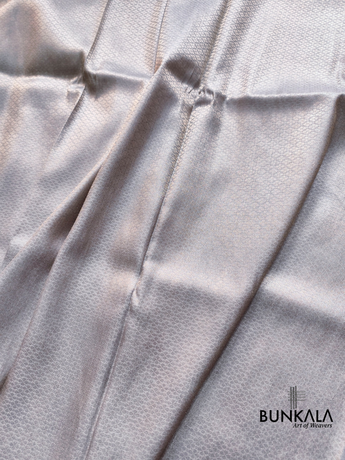 Grey Minakari Modern jaal Banarasi Resham Silk Saree