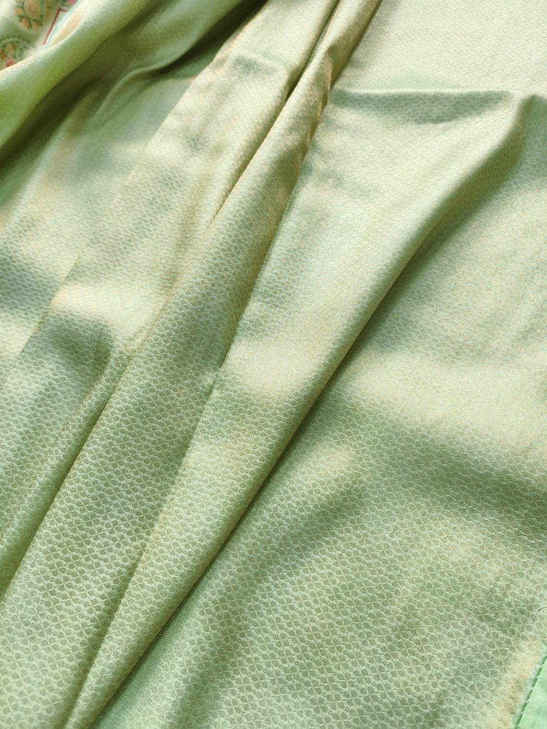 Pastel Green Minakari Modern Jaal Banarasi Resham Silk Saree