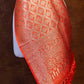 Warm Orange Mashru Silk Brocade Weaved Banarasi Dupatta