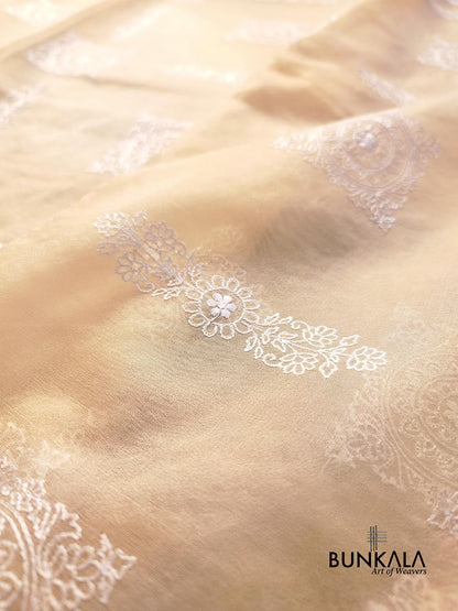 Pastel Peach Thread Work Floral Design Embroidered Organza Saree