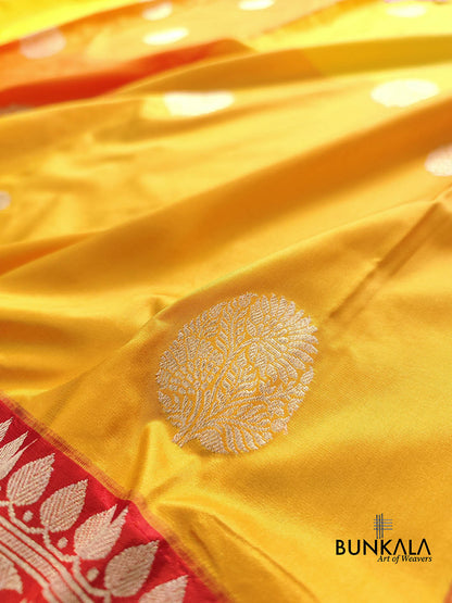 Yellow Checks Kadwa Buta Banarasi Pure Katan Silk Handloom Saree