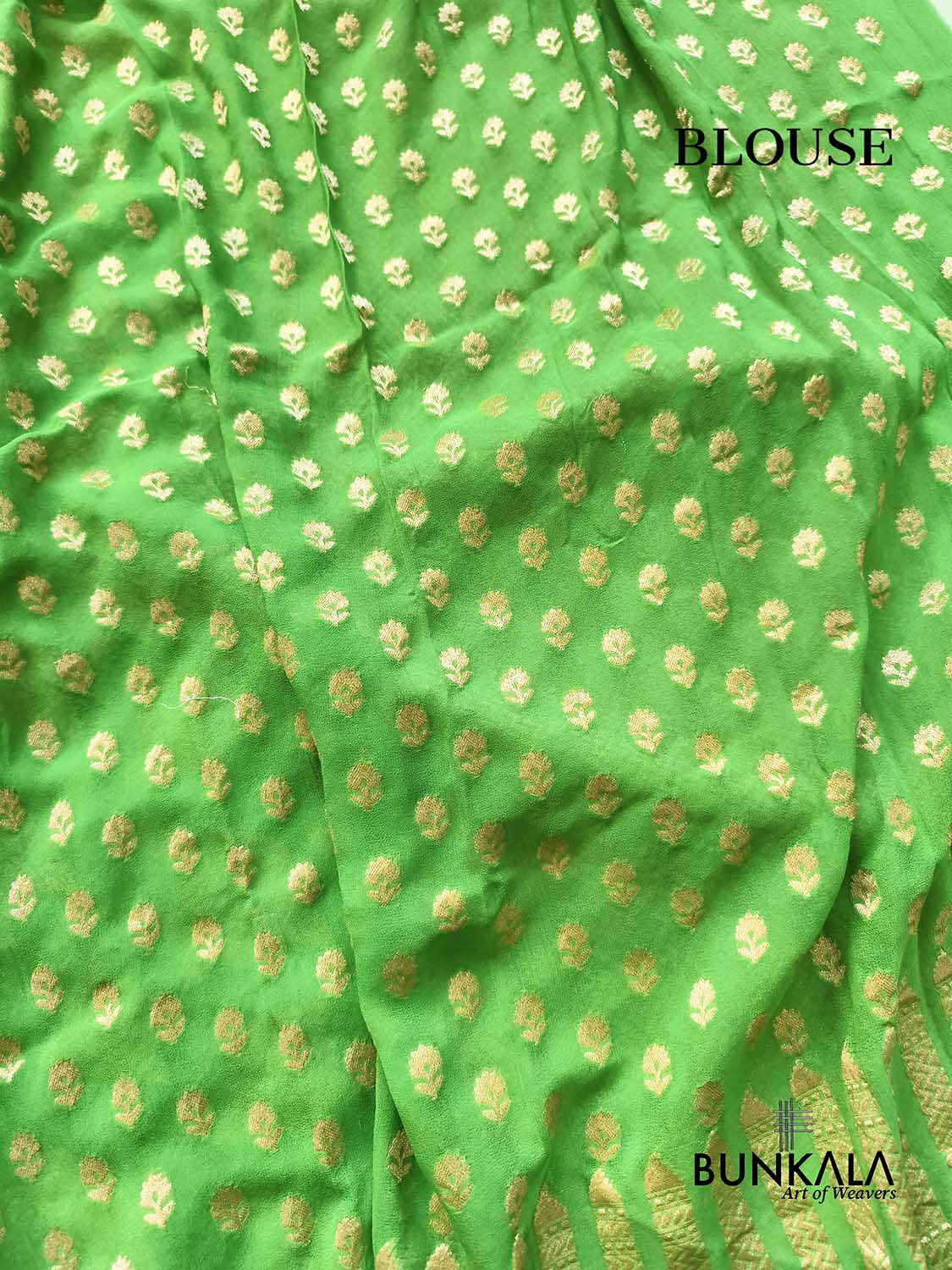 Ombre Parrot Green Rose Motif All Over Handloom Banarasi Pure Georgette Silk Saree