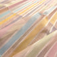 Multicolor Rangkaat Kadwa Handweaved Banarasi Pure Organza Silk Saree