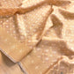 Golden Tissue Silk Jaal Design Resham Handweaved Banarasi Saree