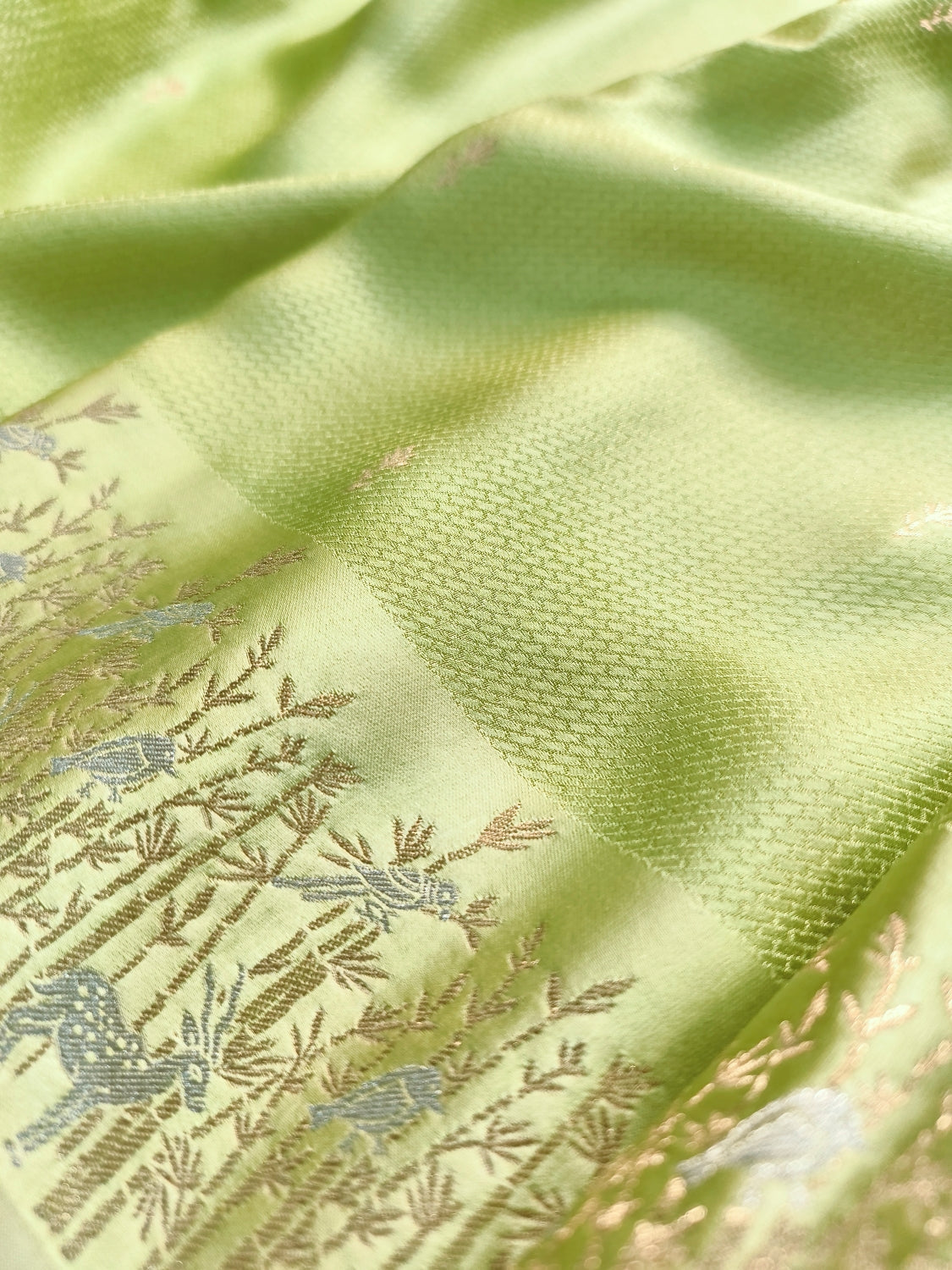 Pastel Green Shikargha Border TanChui Banarasi Mashru Silk Saree