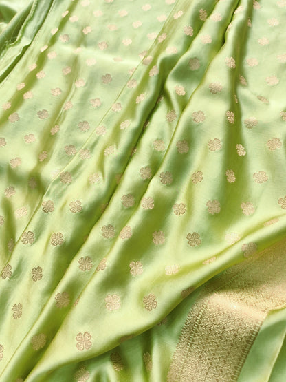 Pastel Green Shikargha Border TanChui Banarasi Mashru Silk Saree