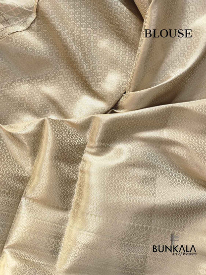 Pastel Green Brocade Weaved Silk Banarasi Saree