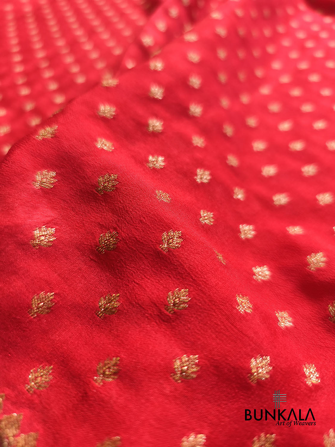 Red with Green Big Contrast Border Banarasi Georgette Saree