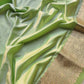 Green Mashru Silk Jaal Design Weaved Banarasi Saree