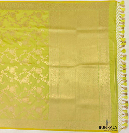 Green Floral Jaal Design Banarasi Silk Saree